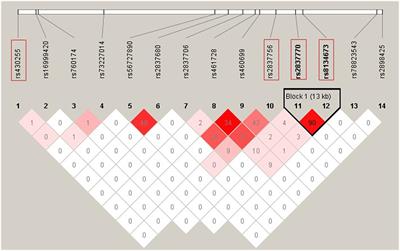 Association Analysis of Variants of DSCAM and BACE2 With Hirschsprung Disease Susceptibility in Han Chinese and Functional Evaluation in Zebrafish